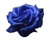 blomst097.gif