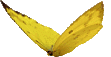 yellow-butterfly.gif